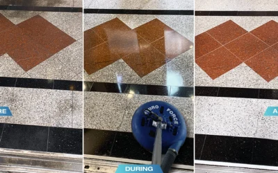 The Great Grout Adventure: Tile Transformation in Providence | Phoenix of Rhode Island